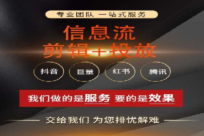 SEM代运营公司案例分析报告